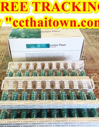 LUCCHINI PLANT PLACENTA GSH INJECTION by www.ccthaitown.com